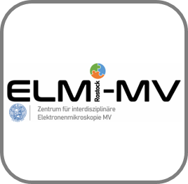 ELMI-MV