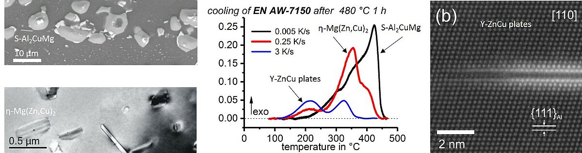 Micro- & Nanostructure